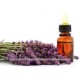 Lavender Essential Oil